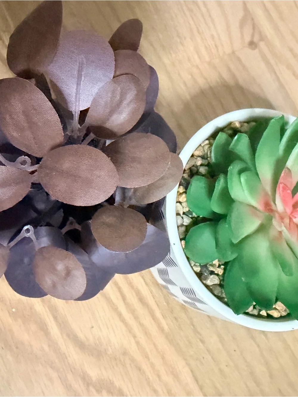 Unbranded Green & Pink Faux Succulent in Patterned White Pot